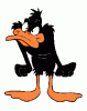 Angry Daffy..gif