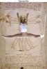 vitruvian woman3.jpg