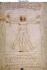 vitruvian man3a.jpg