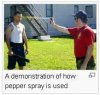 pepper spray 3.jpg