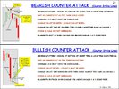 Page 021 Bearish Counter Attack and Bullish Counter Attack.JPG