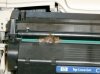 mouse in printer.jpg