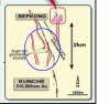 Geochem A.GIF