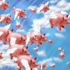 pigs_flying.jpg