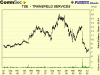 TSE1year.gif