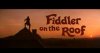 fiddler on the roof.jpg