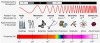 Electro magnetic spectrum.jpg