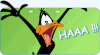 Daffy Haaa!.gif