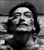 dali.jpg