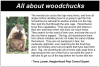 Woodchucks.png