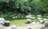 mossman gorge2.JPG