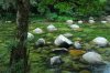 mossman gorge.JPG