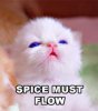 spice_must_flow.jpg