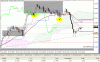 091021 nzd.gif