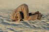 man-with-head-in-sand.gif