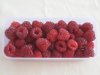 raspberries.jpg