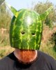 the-i-am-a-norse-viking-melon-style_img_assist_custom.jpg