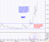 WMT 1.gif