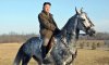 Kim-Jong-un-008.jpg