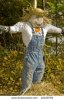 stock-photo-scarecrow-straw-man-40189759.jpg