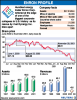 enron-stock-profile.png