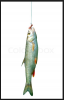 20140626 - Fish on Hook.png