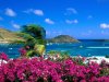 hawaii-island-beaches-wallpaper.jpg