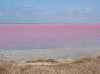 Pink lake.jpg