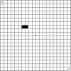 amsler-grid.gif