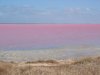 pink lake.JPG