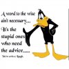 Daffy duck advice.jpg