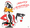 Daffy Xmas.gif