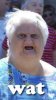 Wat-Meme-Old-Lady-Face-01.jpg