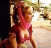 barbara-eden-in-i-dream-of-jeannie.jpg