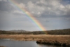 rainbowebeneriver.jpg