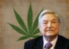 4_2_2014_pot-soros-weed8201_s640x454.jpg