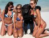 funny-black-monkey-with-so-many-chicks.jpg