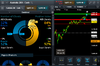 xjo shorts over the top iv 180119.png