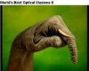 elephant hand.jpg