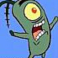 plankton